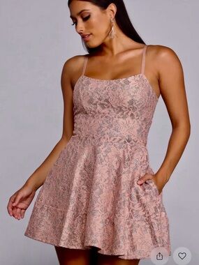 Windsor Blush Pink Lace Fit & Flare Mini Dress